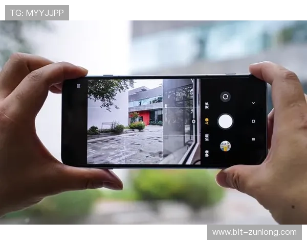 凯时网址登录线路优化技巧,提升访问速度和稳定性确保顺畅游戏体验